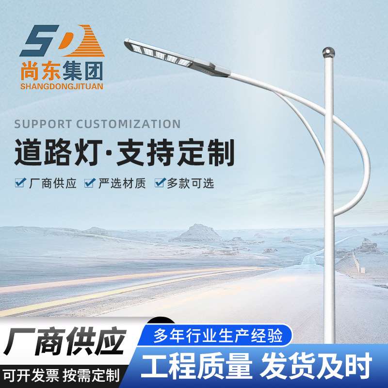 市电路灯led灯 户外道路交通防水单臂灯 8米路灯杆生产厂家
