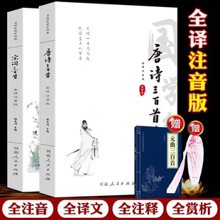 唐诗宋词三百首 唐诗宋词元 全集鉴赏辞典中国古诗词全集中小学生注音版 注音版 全解儿童 唐诗三百首正版 唐诗宋词全译 全集 曲正版