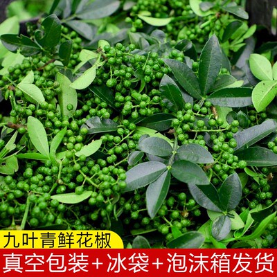 九叶青鲜花椒青花椒350克家用