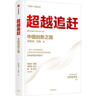 超越追赶 中国创新之路管理入门书