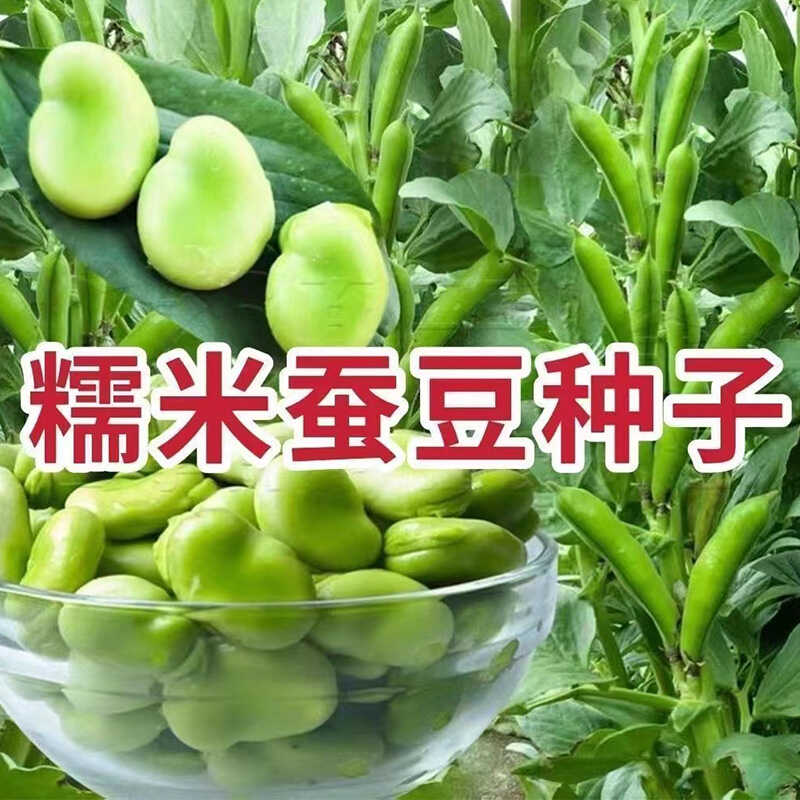 高产按斤卖农家蔬菜大全