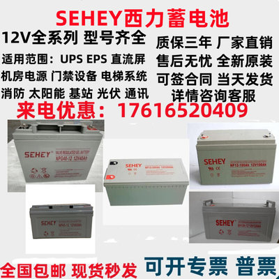 SEHEYSH-NPG12V100AH65AH40A38A24A17A120A150A机房UPS