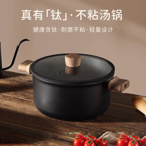汤锅钛不粘锅煮锅家用蒸煮炖双耳煲汤锅电磁炉燃气灶通用煮锅