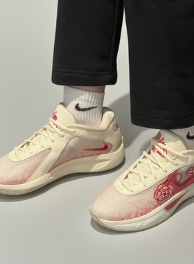 Nike Giannis Freak 6 EP 粉红色 防滑耐磨 低帮篮球鞋FV1294-100