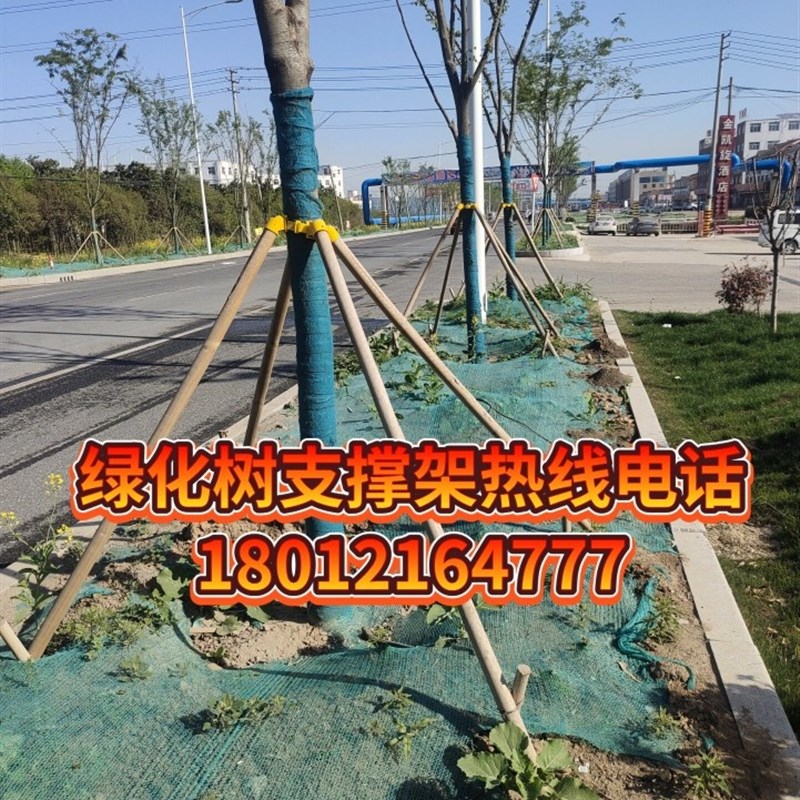速发绿化行道树木支撑架大树园林支撑杆苗木防风固定器镀锌钢管支