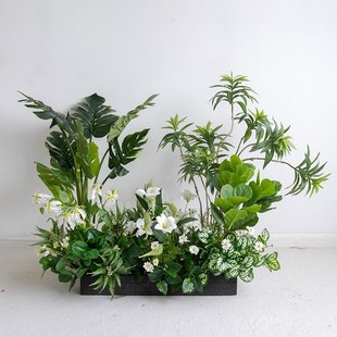 速发背系绿植盆景布置 造景百合叶旅人蕉龟背竹橱窗森景假花植物