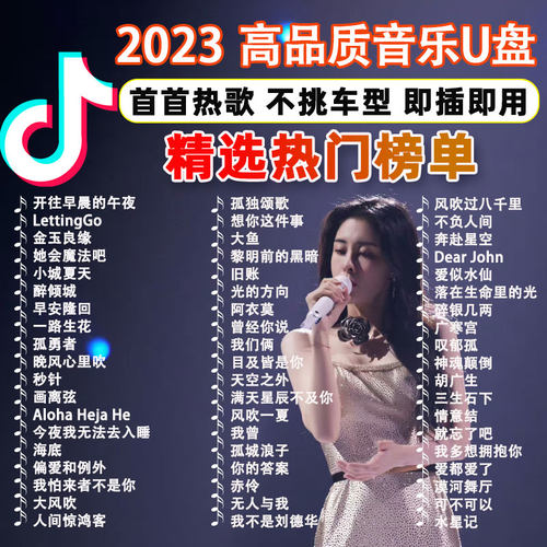 速发202新歌网路流行DJ歌曲汽车载无失真高品质车用音乐随身碟mp