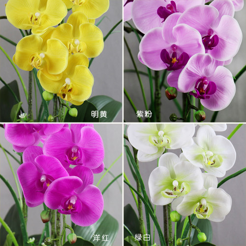 速发花艺胶花胡蝶兰蝴蝶兰仿真花假花电视柜客厅娟新中式干花装饰