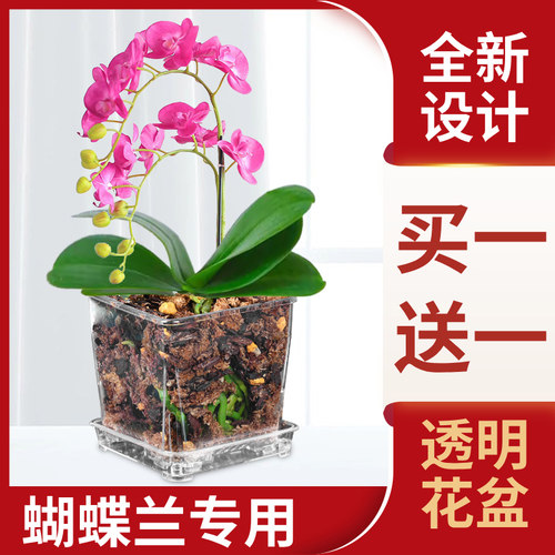 速发高透明花盆蝴蝶兰花专形塑料方用水苔带底孔控根透气家用桌面