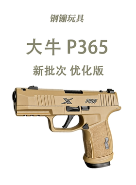 新批次优化无刷版大牛P365X电手金波铝滑空挂科教模型肥肥钢镚