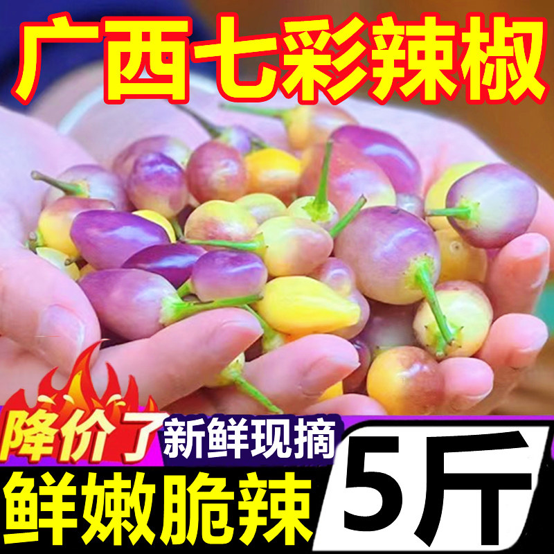 广西七彩椒新鲜5斤泡椒五彩椒辣椒当季蔬菜农家自种灯笼椒批发