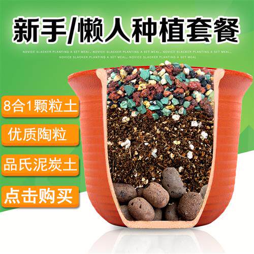 营养土包邮种植土通用型组合套装多肉兰花陶粒颗粒土专用花肥土壤