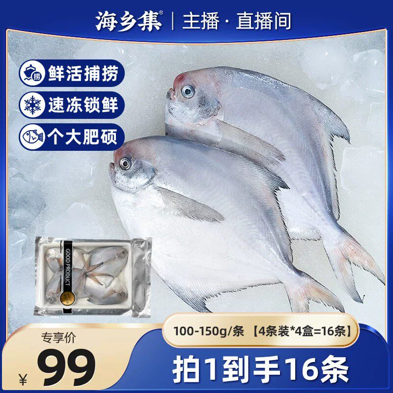 海乡集鲳鱼新鲜冷冻鲜活海鲜水产商用