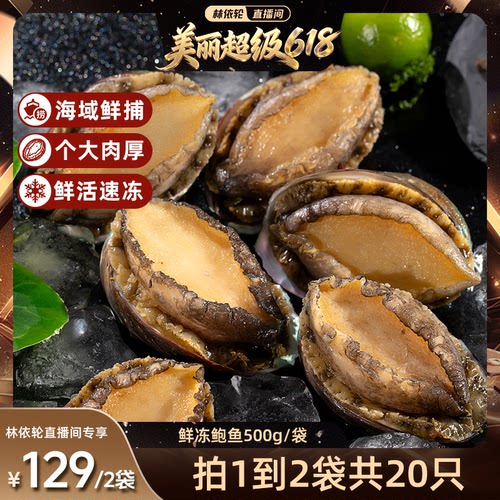 【林依轮直播间】海乡集海鲜鲜冻鲍鱼水产食材商用鲍鱼