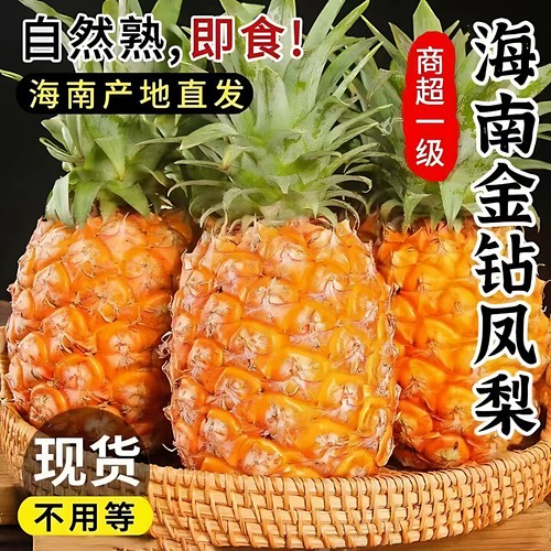 【海南直发】海南金钻凤梨