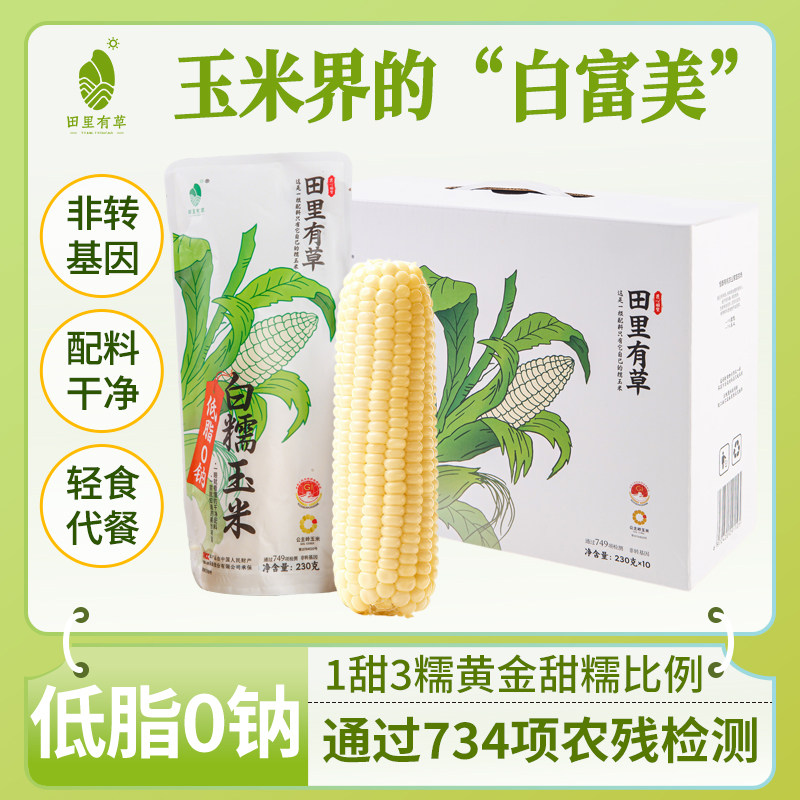 田里有草白糯玉米东北玉米特产