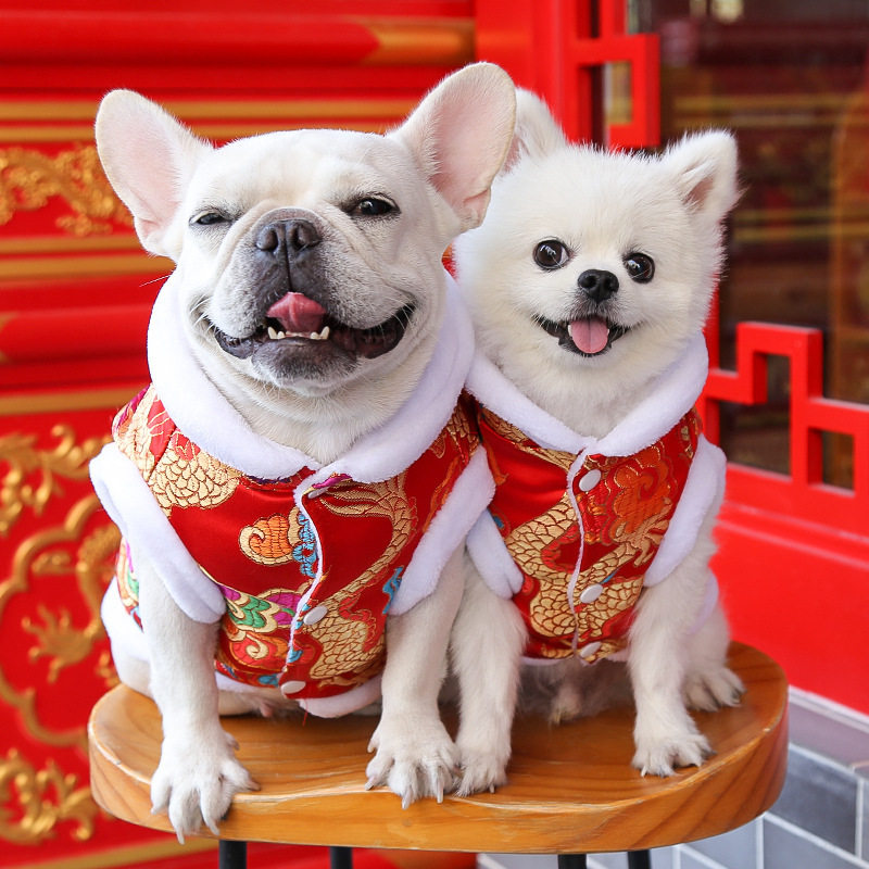 宠物衣服狗狗猫咪红色服饰中小型犬专用秋冬保暖用品服装
