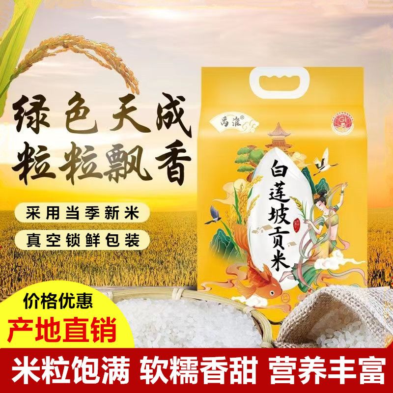 禹淮白蓮坡貢米蚌埠當(dāng)?shù)靥禺a(chǎn)當(dāng)季新米廠地直銷10斤真空包裝大米