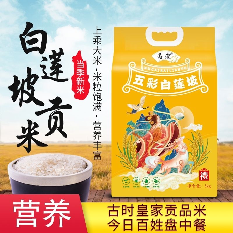 禹淮白蓮坡貢米當(dāng)季新米廠地直銷10斤真空包裝大米