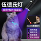 伍德氏照猫癣灯 红外线激光笔逗猫玩具 照猫癣猫尿专用紫光手电筒