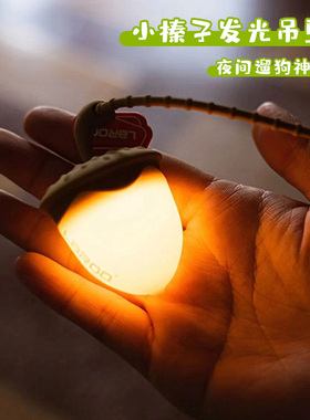 莱诺榛子灯狗狗发光宠物夜行灯充电led夜间防走失晚上遛狗灯吊坠