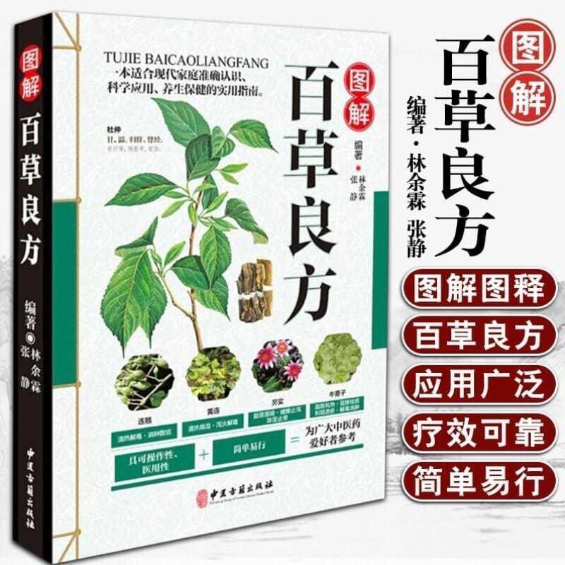 中药书籍图解百草良方彩色图鉴药书中医基础入门中药材药方中医养生保健正版书籍中草药中药材彩色图谱附偏方药方本草纲目中医入门
