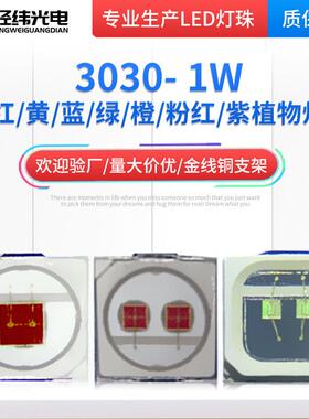 3030灯珠大功率 EMC3030贴片灯珠1W 灯珠5W白灯