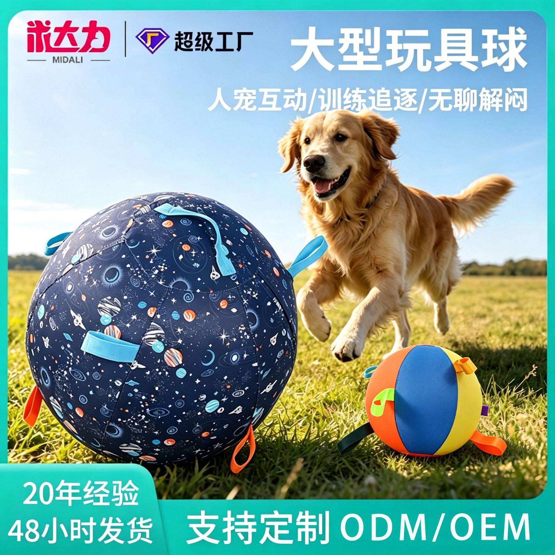 宠物互动玩具球户外耐磨解闷充气球金毛边牧中大型犬训练玩具