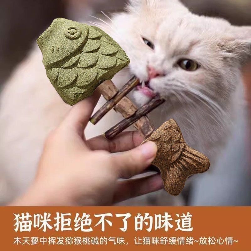 磨牙猫薄荷木头耐咬自防真鱼解闷鱼骨头磨牙棒蓼猫咪玩具逗猫嗨