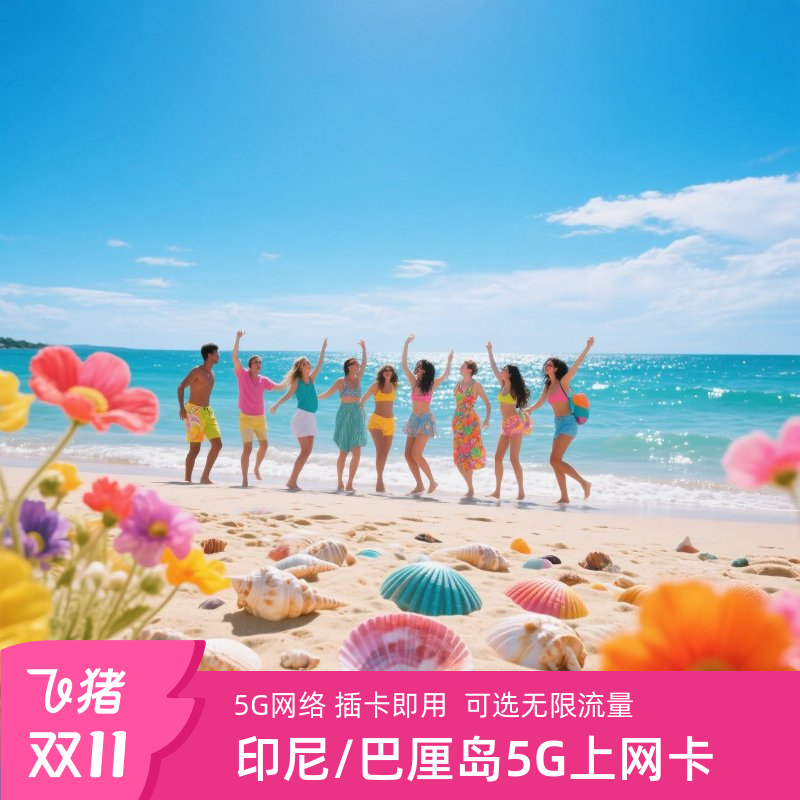 巴厘岛电话卡