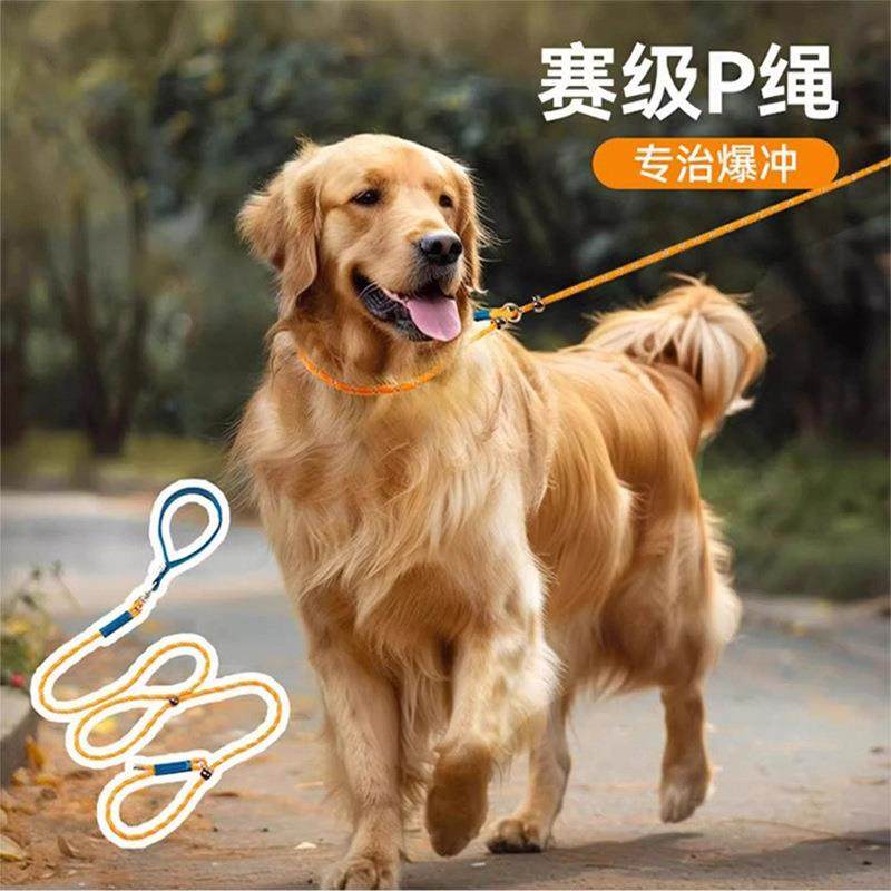 缤纷P链宠物赛级狗狗牵引绳p绳防爆冲外出遛狗中大型犬通用遛狗绳,宠物/宠物食品及用品,狗牵引绳,淘宝优惠券,粉丝福利购,淘宝优惠卷