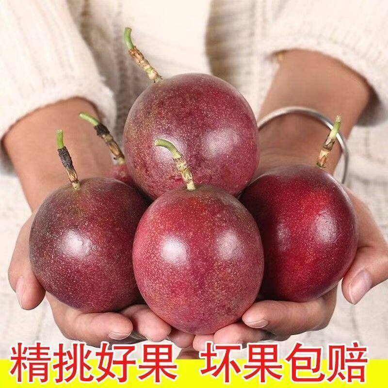 云南德宏百香果新鲜现摘水果紫皮百香果特大果百香果酱原浆 包邮