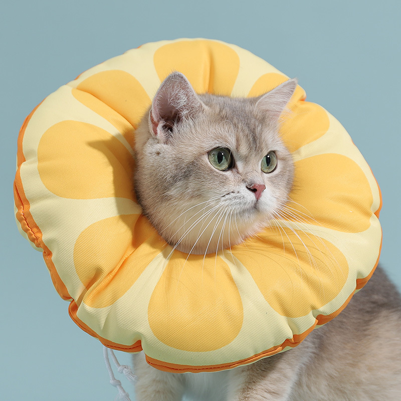 猫咪伊丽莎白圈幼防舔咬耻