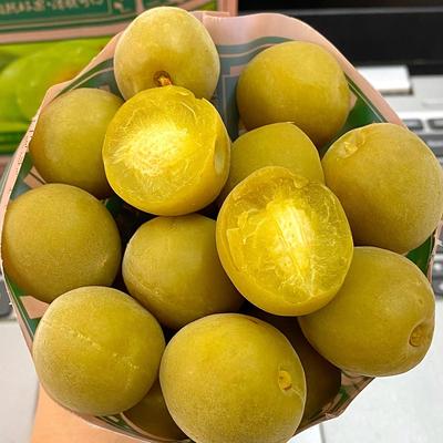 脆青梅青轻梅爽口梅腌制青梅脆爽青梅铁观音茶梅子爽口脆梅脆青梅