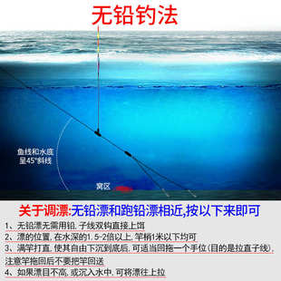 集大成无铅自立漂电子夜光日夜两用青鱼浮漂大物飞铅跑铅专用鱼漂