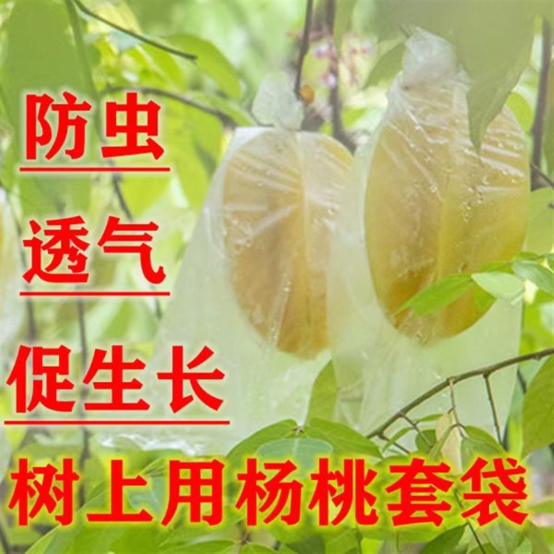 速发杨桃芭乐袋套袋生长袋水果瓜果防虫水果保护透明薄膜袋