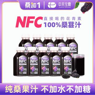 桑加1纯桑葚汁NFC果汁桑葚原汁糖花青素整箱送礼300ml