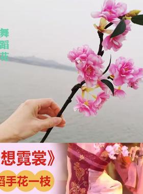 汉唐古风荷花奖云想霓裳舞蹈手拿枝杆仿真桃花梅花粉色白色红樱花