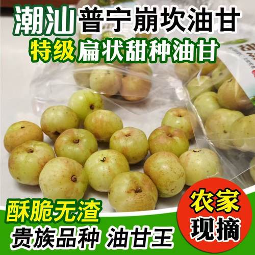 潮汕甜油甘果现摘新鲜新果余甘果牛甘果柿饼水果包邮包甜橄榄新鲜