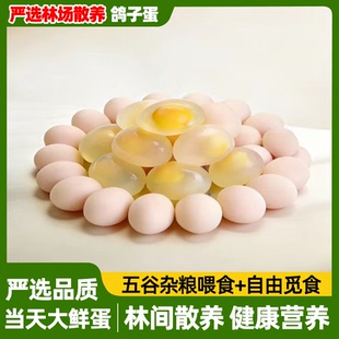 【山林生态放养】初生鸽子蛋30枚白鸽蛋顺丰包邮孕妇宝宝营养辅食