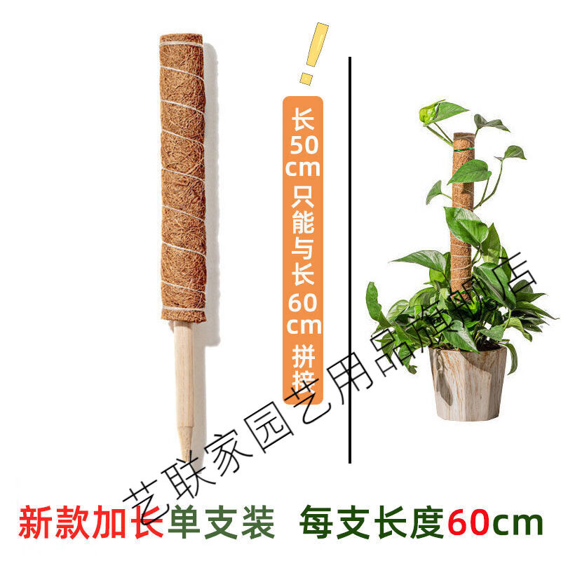 龟背竹支架绿萝柱椰棕棒桩植物花架攀爬架龟背竹支撑椰丝苔藓杆缠