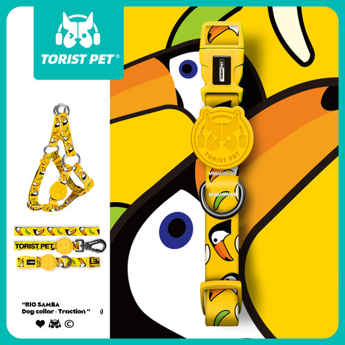 toristpet高颜值遛狗牵引绳套装