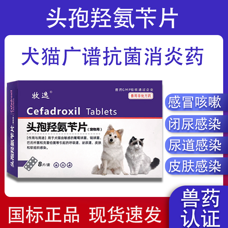 牧逸兽用头孢消炎抗菌猫狗通用