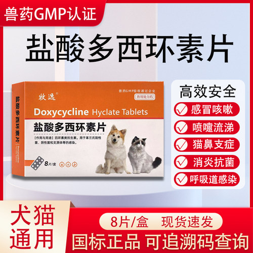 宠物感冒咳嗽药猫鼻支犬猫通用