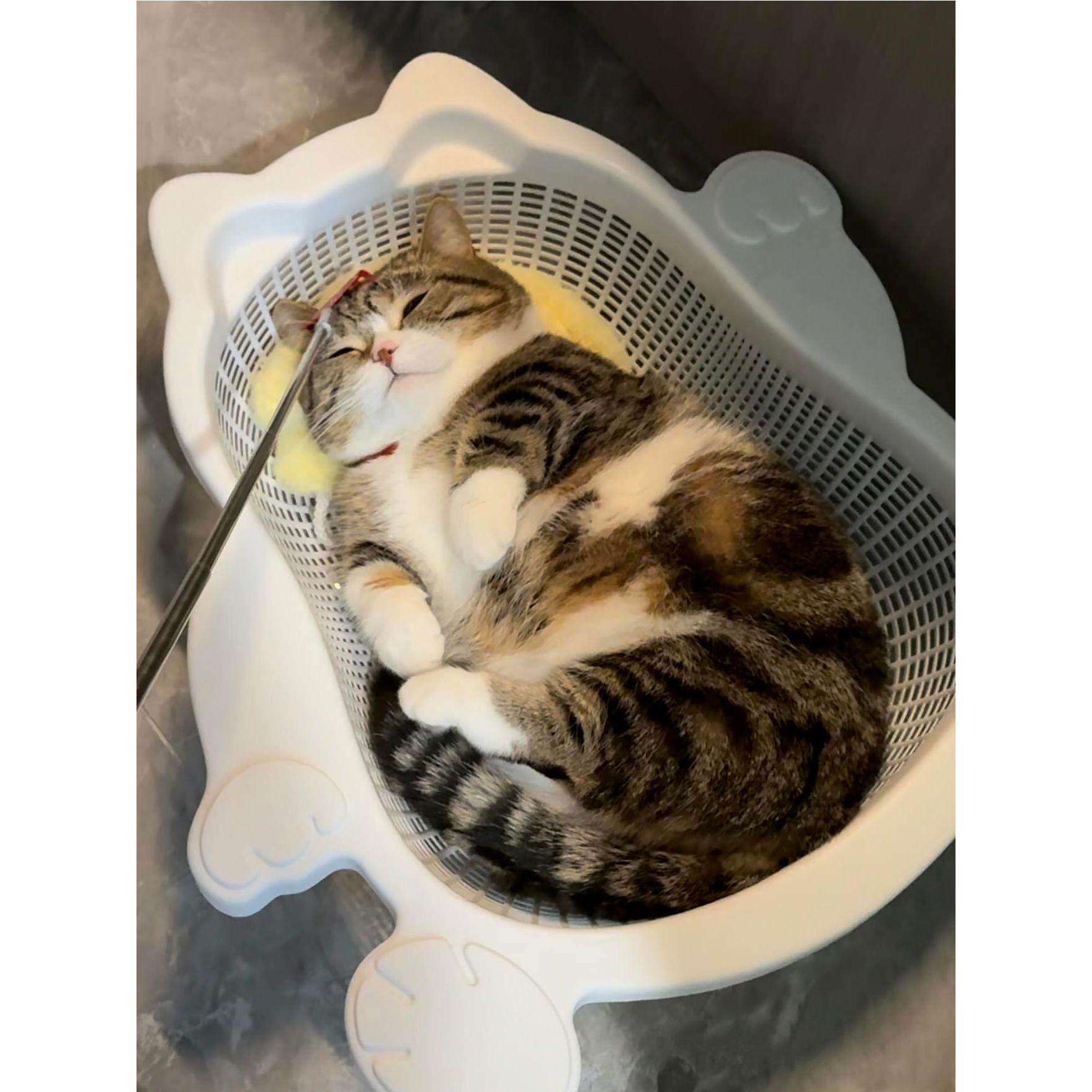 菜篮子猫窝夏季透气凉爽降温猫床加厚PP舒适耐抓垫子可水洗宠物窝