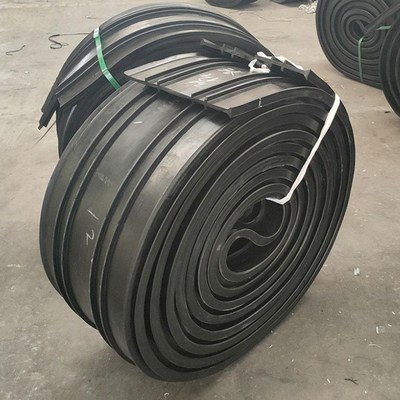 速发中埋式651橡胶止水带钢边外贴式桥梁隧道建筑用止水带