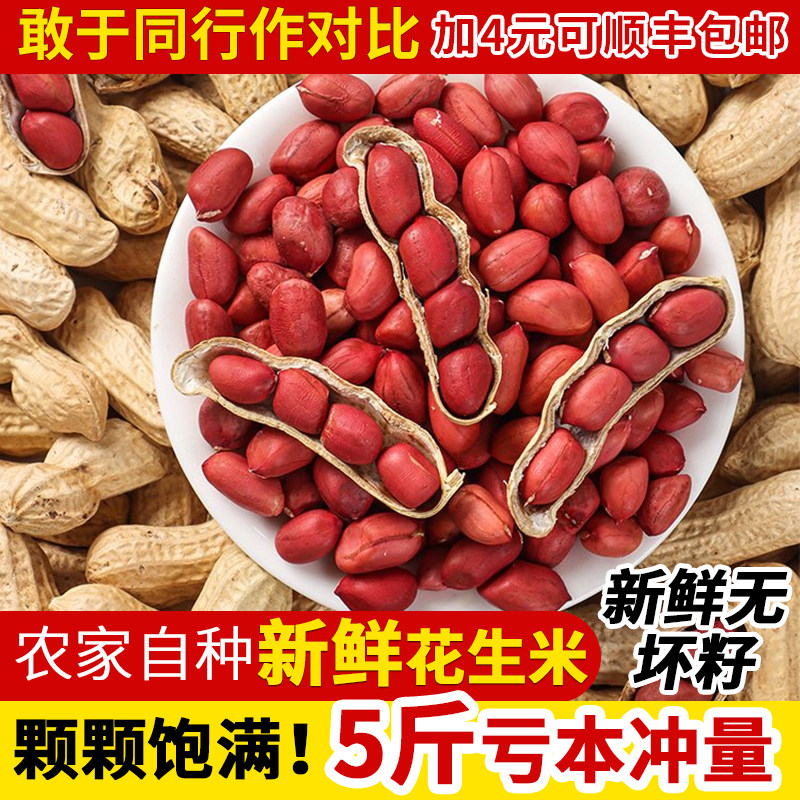新鲜红皮花生25年新带壳四粒红花生米农家自种晒干炒货原味花生仁