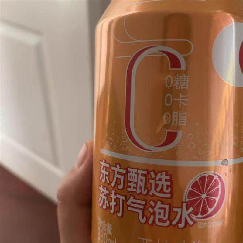 新货苏打气泡水0糖0脂0卡原味/柠檬味饮料饮品