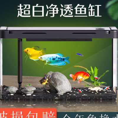 鱼缸造景客厅家用电视柜旁超白家庭懒人循环过滤生态亚克力小鱼缸