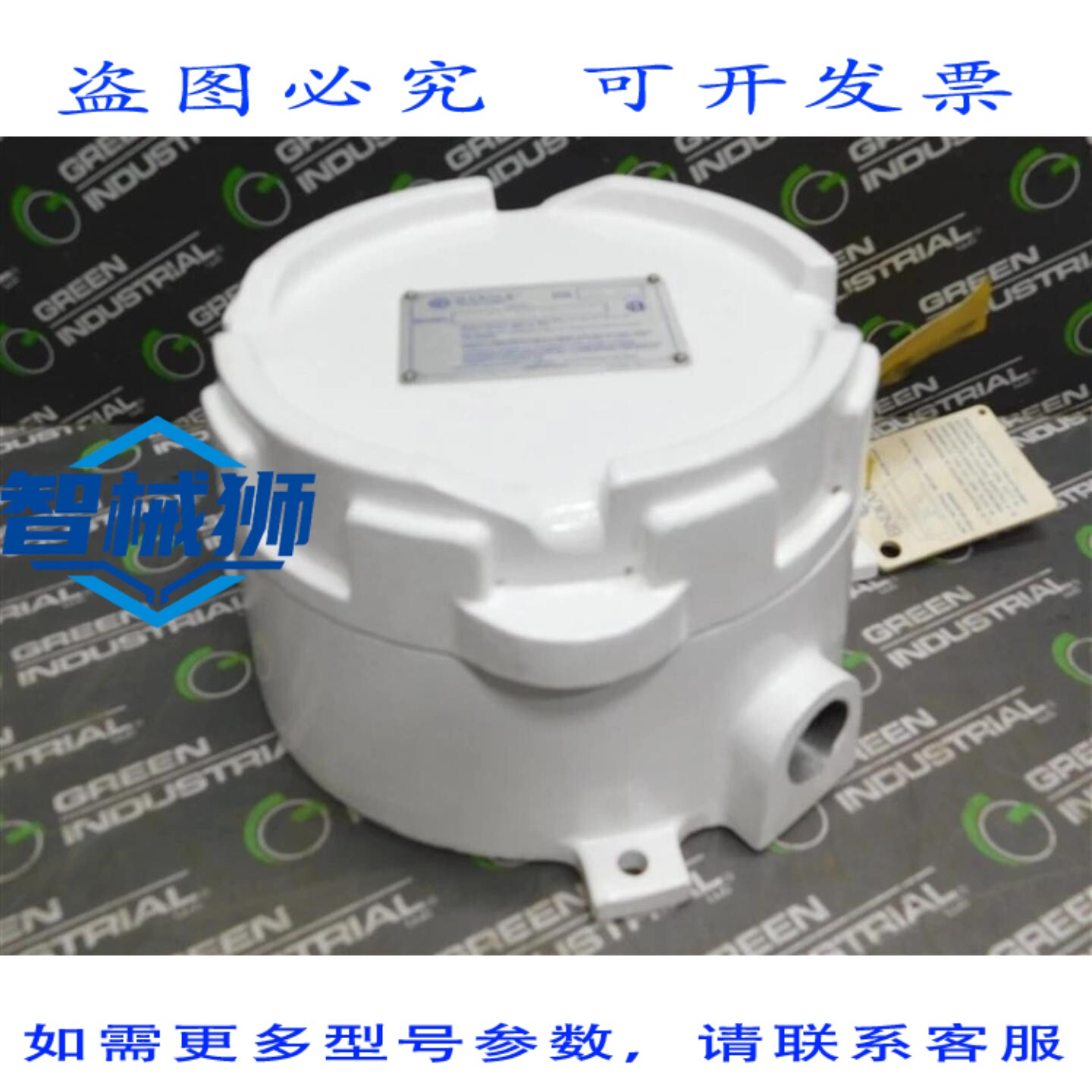 原装供应 BINDICATOR LP2G1200 脉冲点电平开关 DPDT 5A 电阻，12